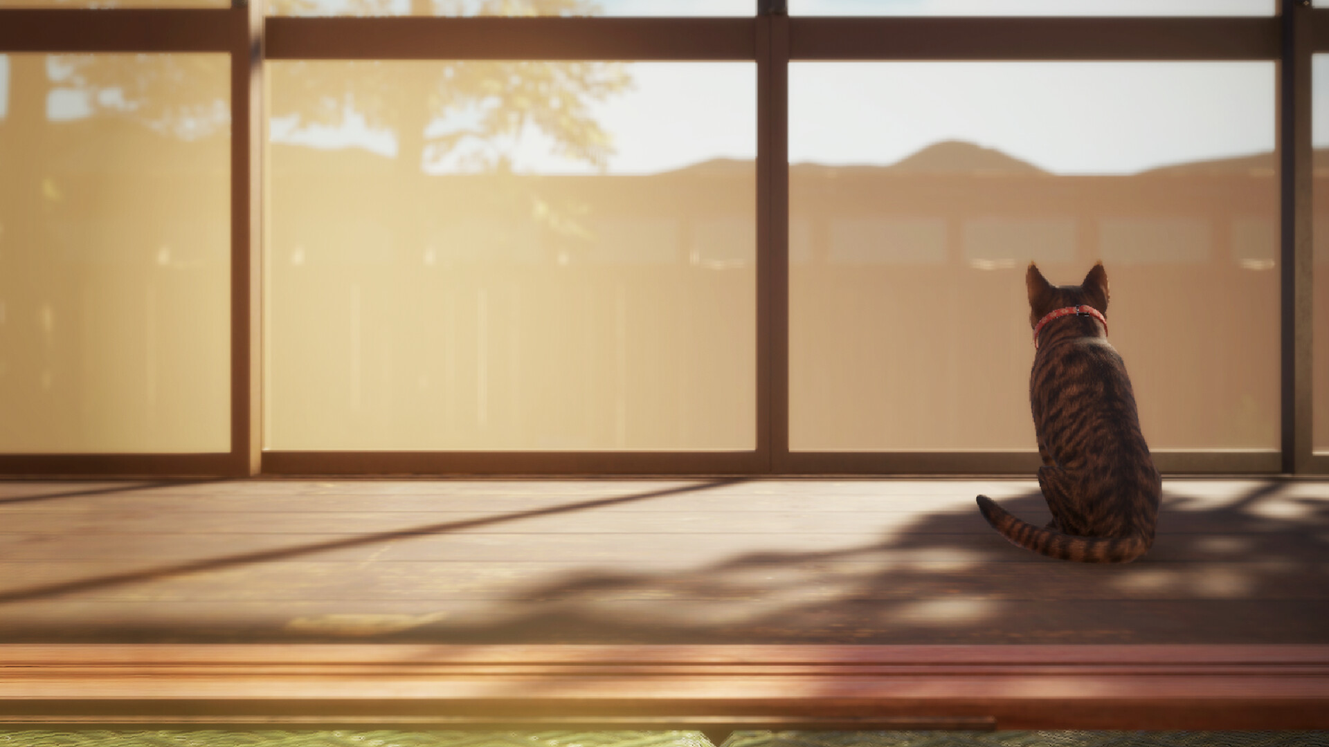 猫还在逃吗?/Still It Runs-茉莉小栈