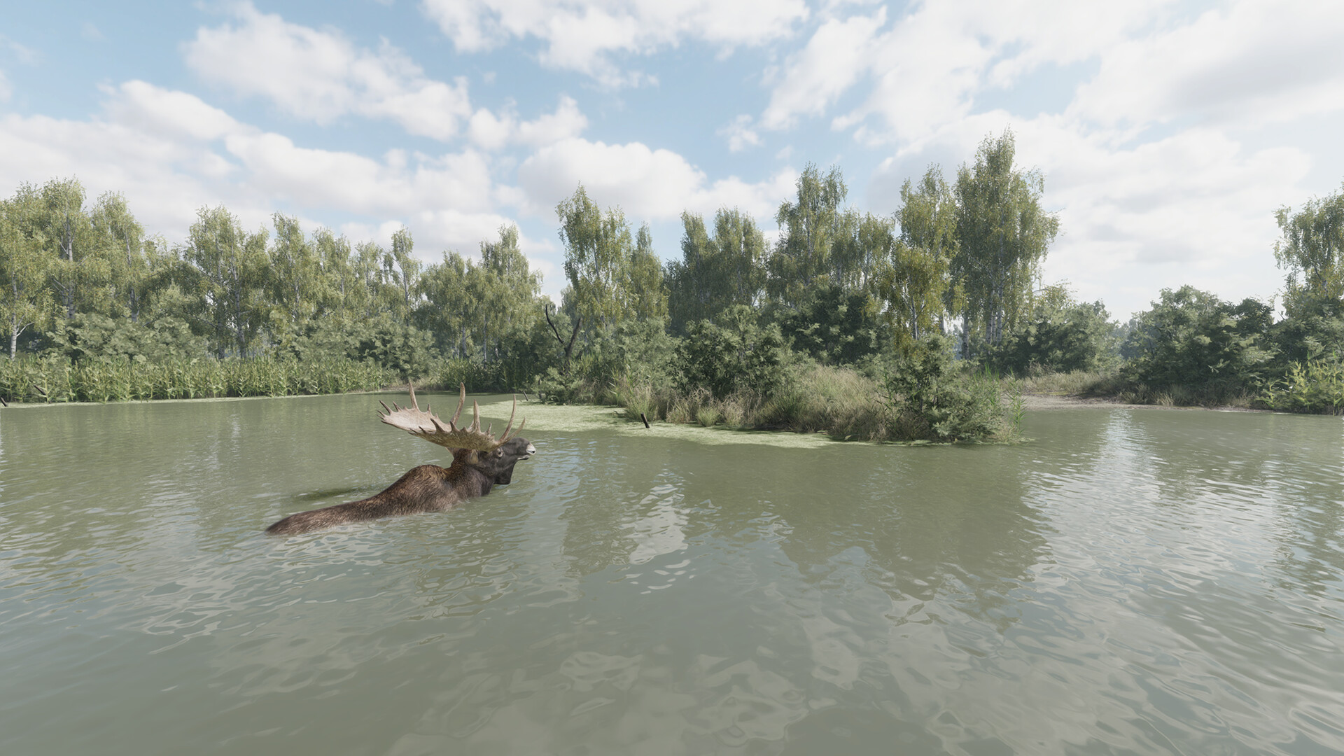 猎捕行动/On the Hunt