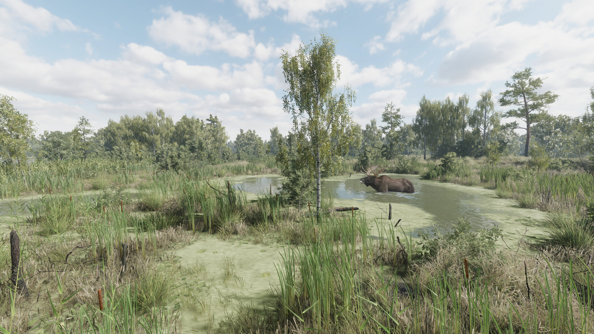 猎捕行动/On the Hunt