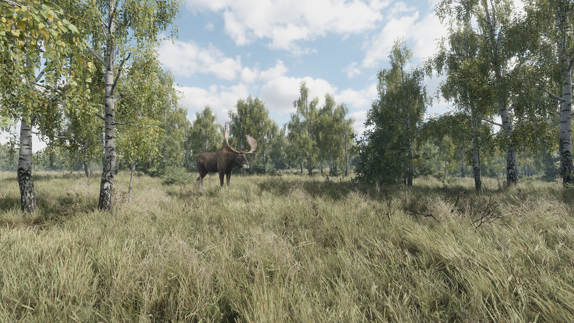 猎捕行动/On the Hunt客创社区-专注互联网轻资产资源整合与分享客创社区-专注互联网轻资产资源整合与分享