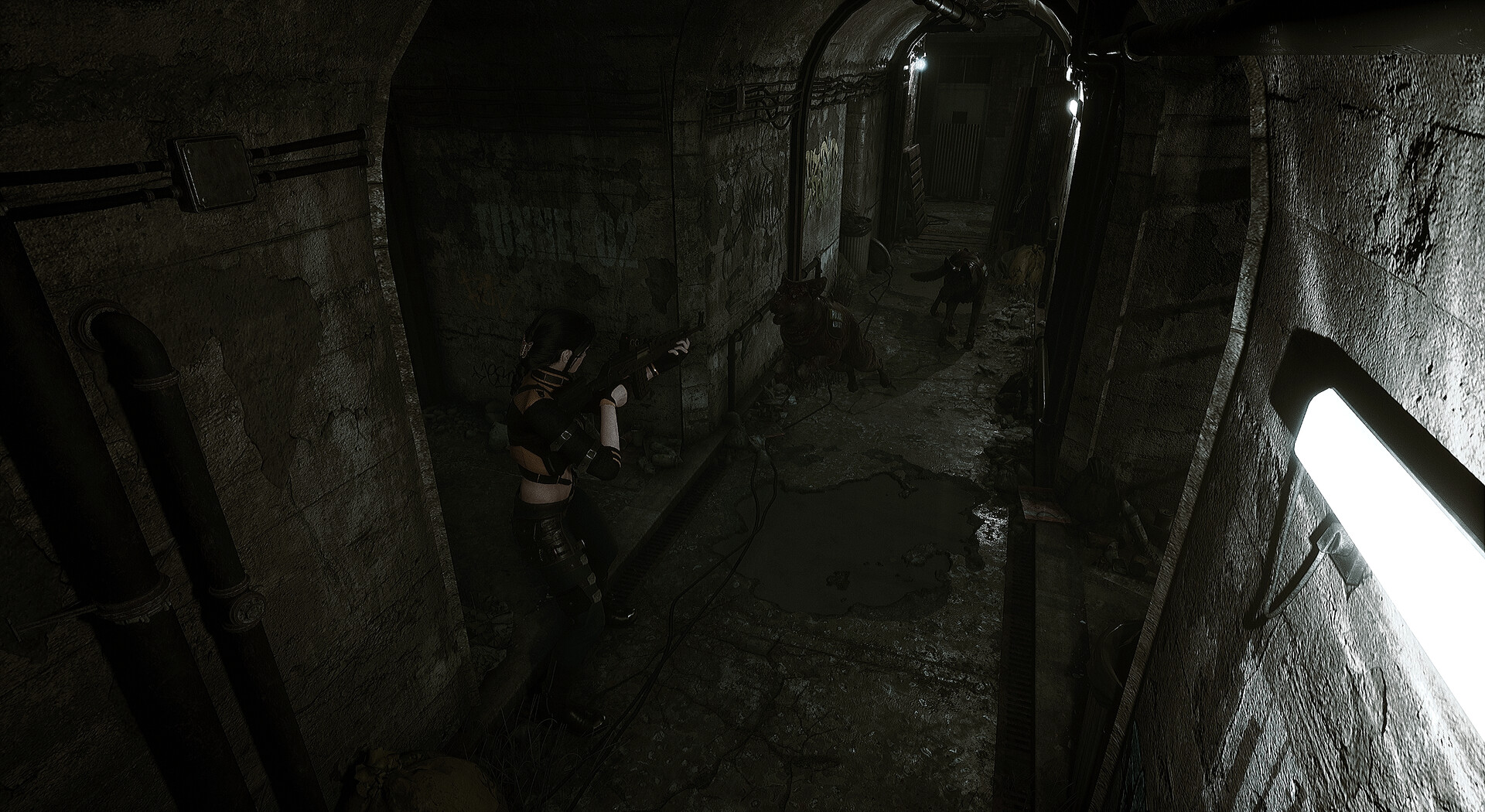 生者回响/Echoes of the Living 生者回响/Echoes of the Living