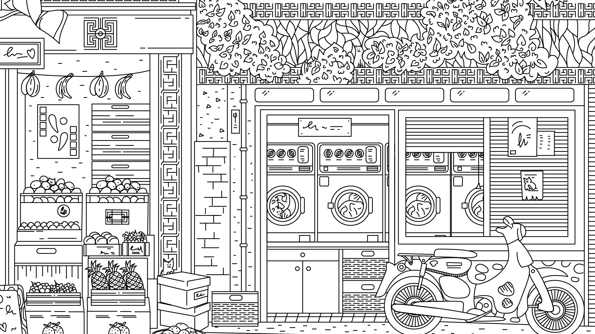 隐藏在中国的猫/Cats Hidden in China 隐藏在中国的猫/Cats Hidden in China