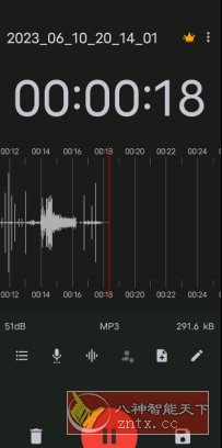 ASR Pro 录音机v545 专业版-鱼见海资源网-免费PHP网站源码模板,插件软件网创AI智能体资源分享平台！