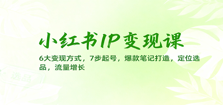 小红书IP变现课：6大变现方式，7步起号，爆款笔记打造，定位选品，流量增长-鱼见海资源网-免费PHP网站源码模板,插件软件网创AI智能体资源分享平台！