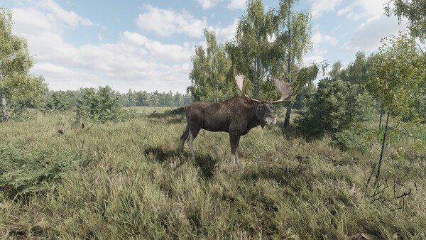 《猎捕行动/On the Hunt》PC中文版下载-含Build.20557498客创社区-专注互联网轻资产资源整合与分享客创社区-专注互联网轻资产资源整合与分享