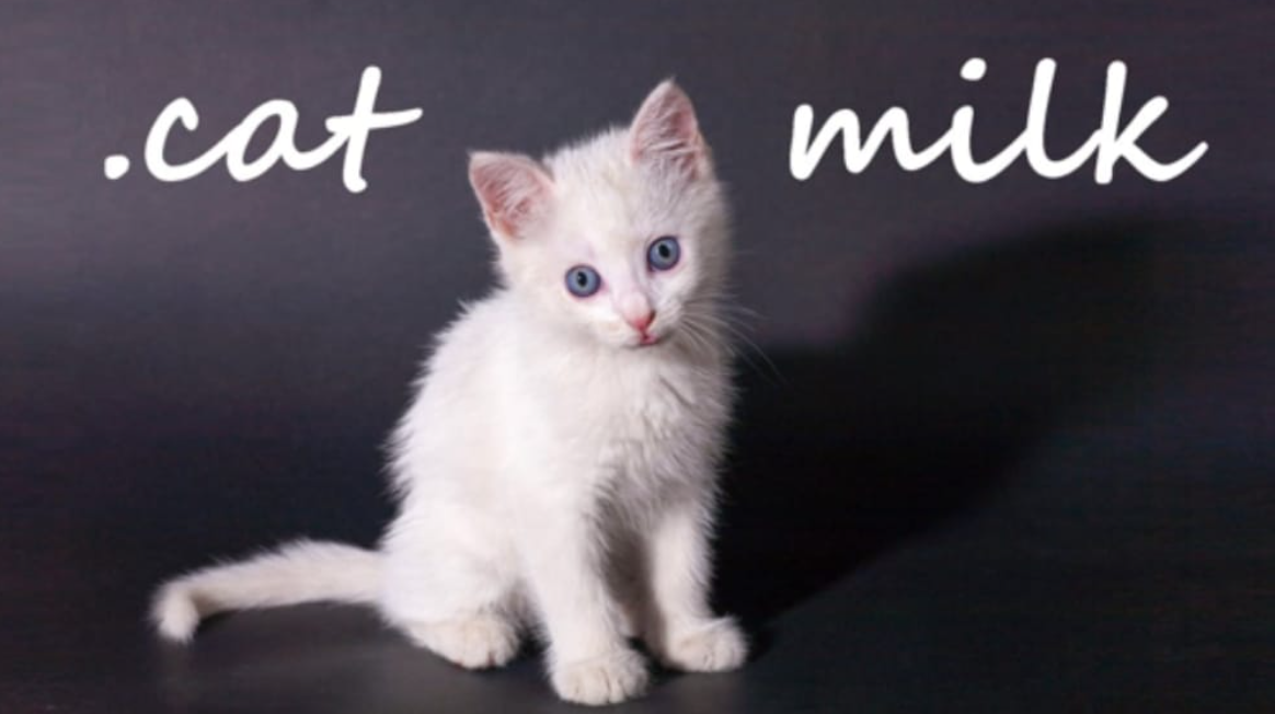 《小奶猫 .cat Milk》Switch英文版NSP下载客创社区-专注互联网轻资产资源整合与分享客创社区-专注互联网轻资产资源整合与分享