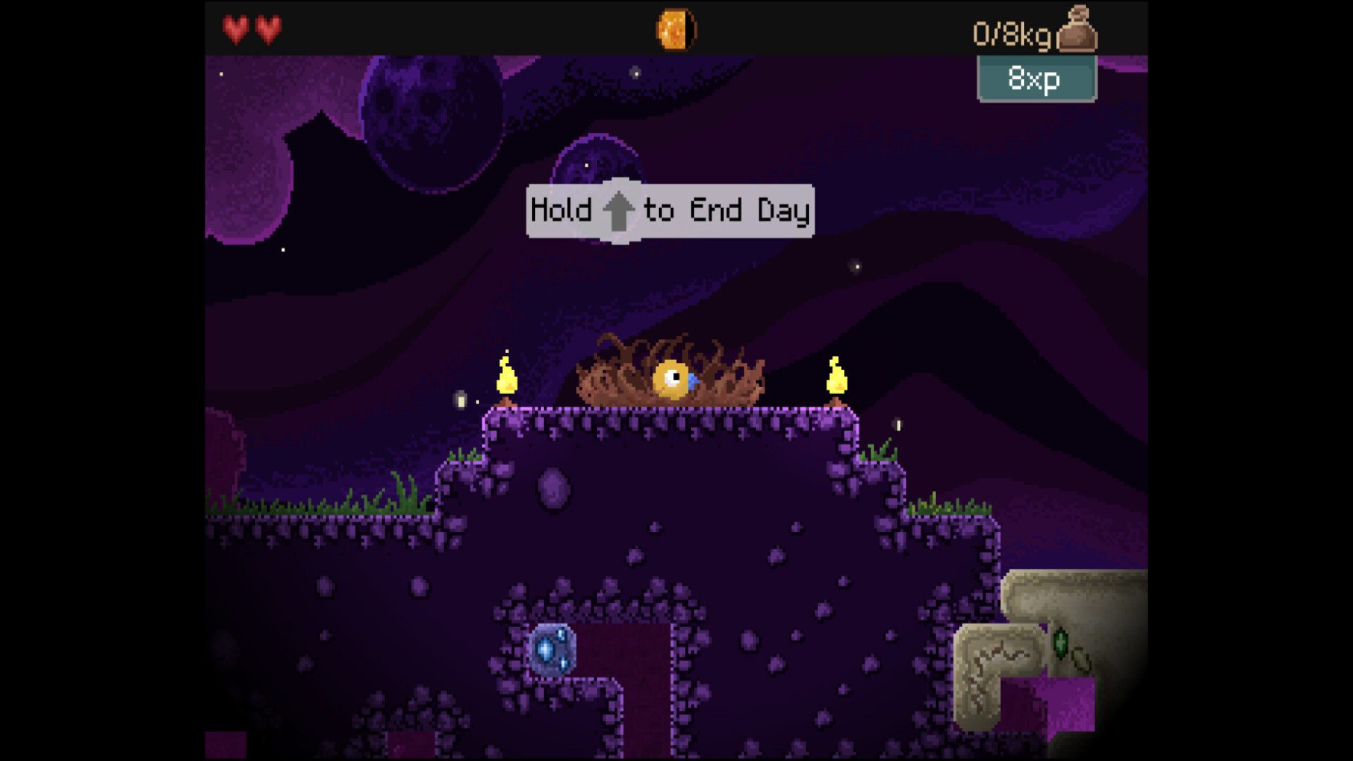 钻头鸟/Drill Bird