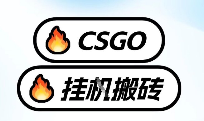 真全网独家CSGO挂G，最新玩法,单日捡漏1K+，不用电脑，不用打游戏【揭秘】 | 鱼见海科技-鱼见海资源网-免费PHP网站源码模板,插件软件网创AI智能体资源分享平台！