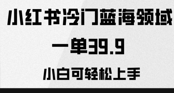 小红书冷门蓝海领域，一单39.9，小白可轻松上手客创社 - 专注互联网轻资产创业及网络项目资源整合与分享客创社 - 专注互联网轻资产创业及网络项目资源整合与分享