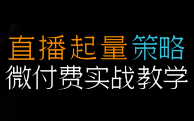 半野老师·直播带货起量与微付费必学课视频号(更新2026)客创社区-专注互联网轻资产资源整合与分享客创社区-专注互联网轻资产资源整合与分享