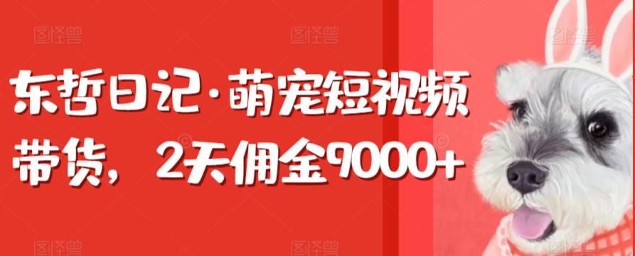 东哲日记·萌宠短视频带货，2天佣金9000+客创社 - 专注互联网轻资产创业及网络项目资源整合与分享客创社 - 专注互联网轻资产创业及网络项目资源整合与分享