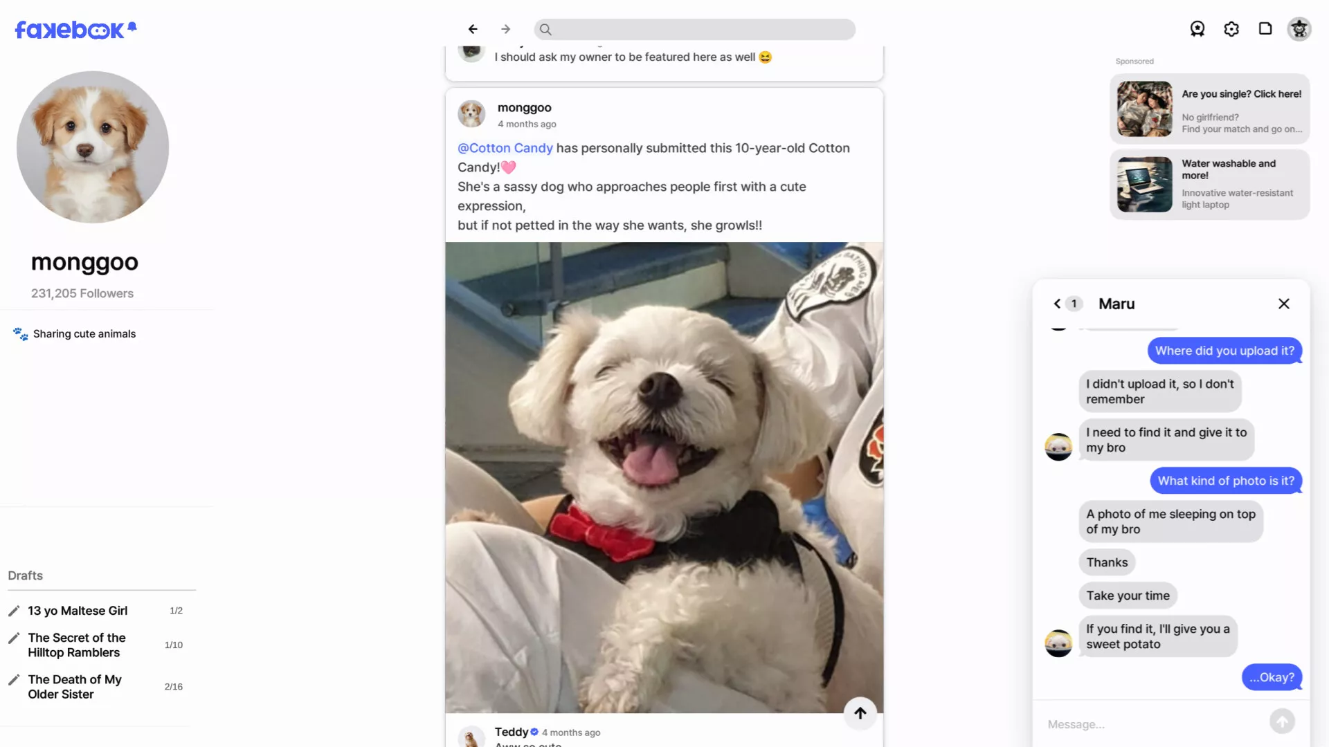 假书/FAKEBOOK 新游发布客创社区-专注互联网轻资产资源整合与分享客创社区-专注互联网轻资产资源整合与分享