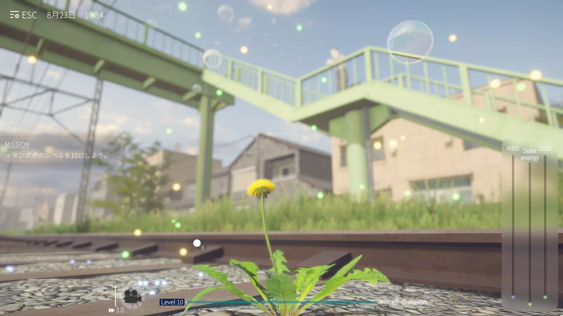 蒲公英不屈。/The Dandelion Endures. 新游发布 蒲公英不屈。/The Dandelion Endures. 新游发布