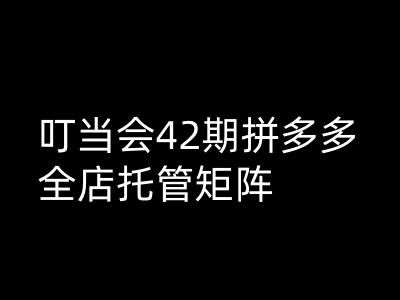 叮当会拼多多打爆班原创高阶技术第42期，拼多多全店托管矩阵客创社 - 专注互联网轻资产创业及网络项目资源整合与分享客创社 - 专注互联网轻资产创业及网络项目资源整合与分享