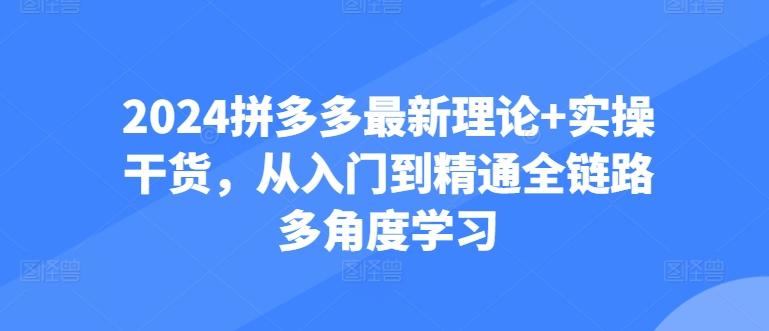 2024拼多多最新理论+实操干货，从入门到精通全链路多角度学习客创社 - 专注互联网轻资产创业及网络项目资源整合与分享客创社 - 专注互联网轻资产创业及网络项目资源整合与分享