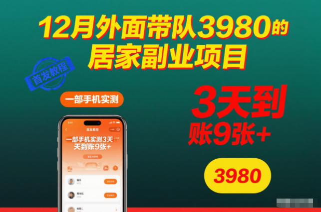 12月外面带队3980的居家副业项目，一部手机实测3天到账9张+，首发教程【揭秘】-麦子社区