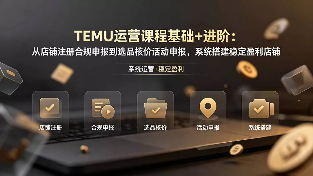 TEMU运营课程(基础+进阶客创社区-专注互联网轻资产资源整合与分享客创社区-专注互联网轻资产资源整合与分享