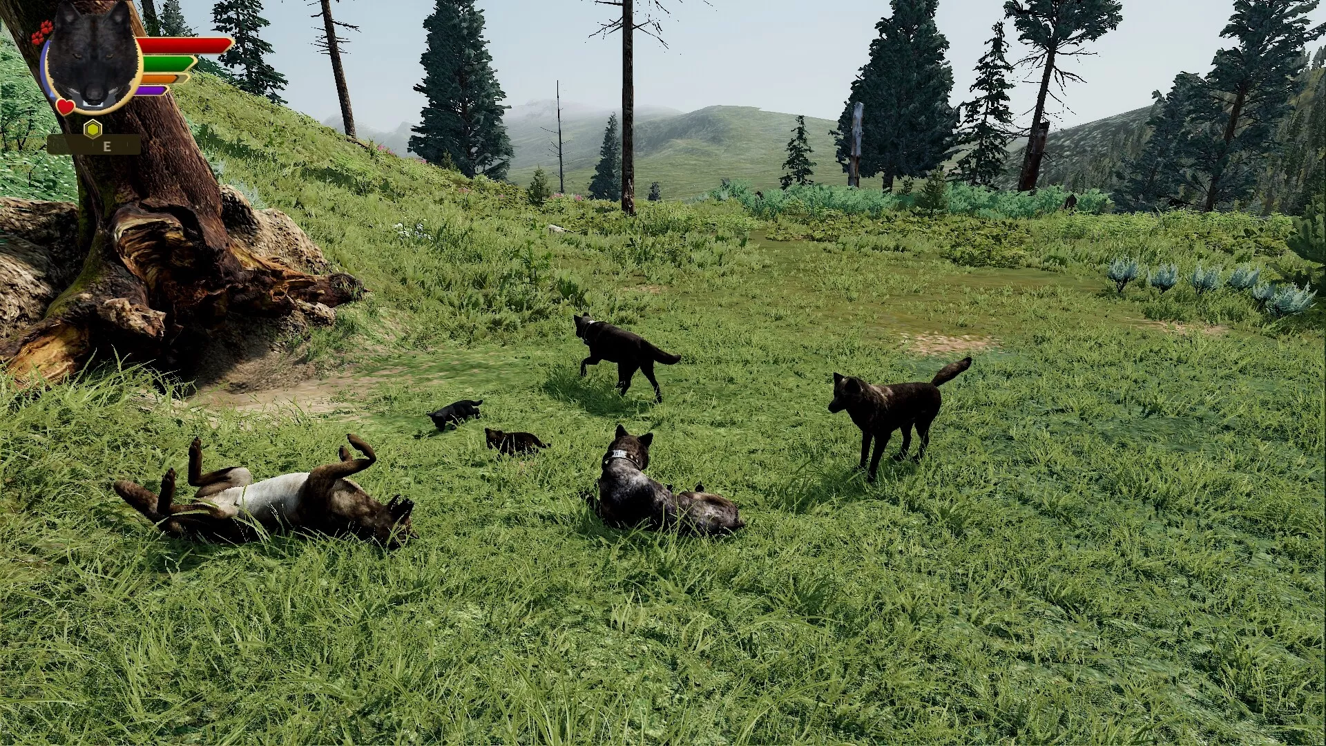 野狼谜踪:周年纪念版/WolfQuest: Anniversary Edition 版本更新 野狼谜踪:周年纪念版/WolfQuest: Anniversary Edition 版本更新