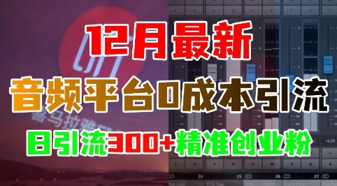 12月最新：音频平台0成本引流，日引流300+精准创业粉客创社 - 专注互联网轻资产创业及网络项目资源整合与分享客创社 - 专注互联网轻资产创业及网络项目资源整合与分享