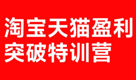 玺承·淘宝天猫盈利突破特训营(25年12月线下课)【音频+字幕】主用 -、辅助 +中赚资源