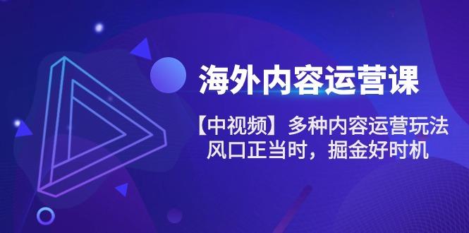 海外内容 运营课【中视频】多种内容运营玩法 风口正当时 掘金好时机-101节客创社 - 专注互联网轻资产创业及网络项目资源整合与分享客创社 - 专注互联网轻资产创业及网络项目资源整合与分享