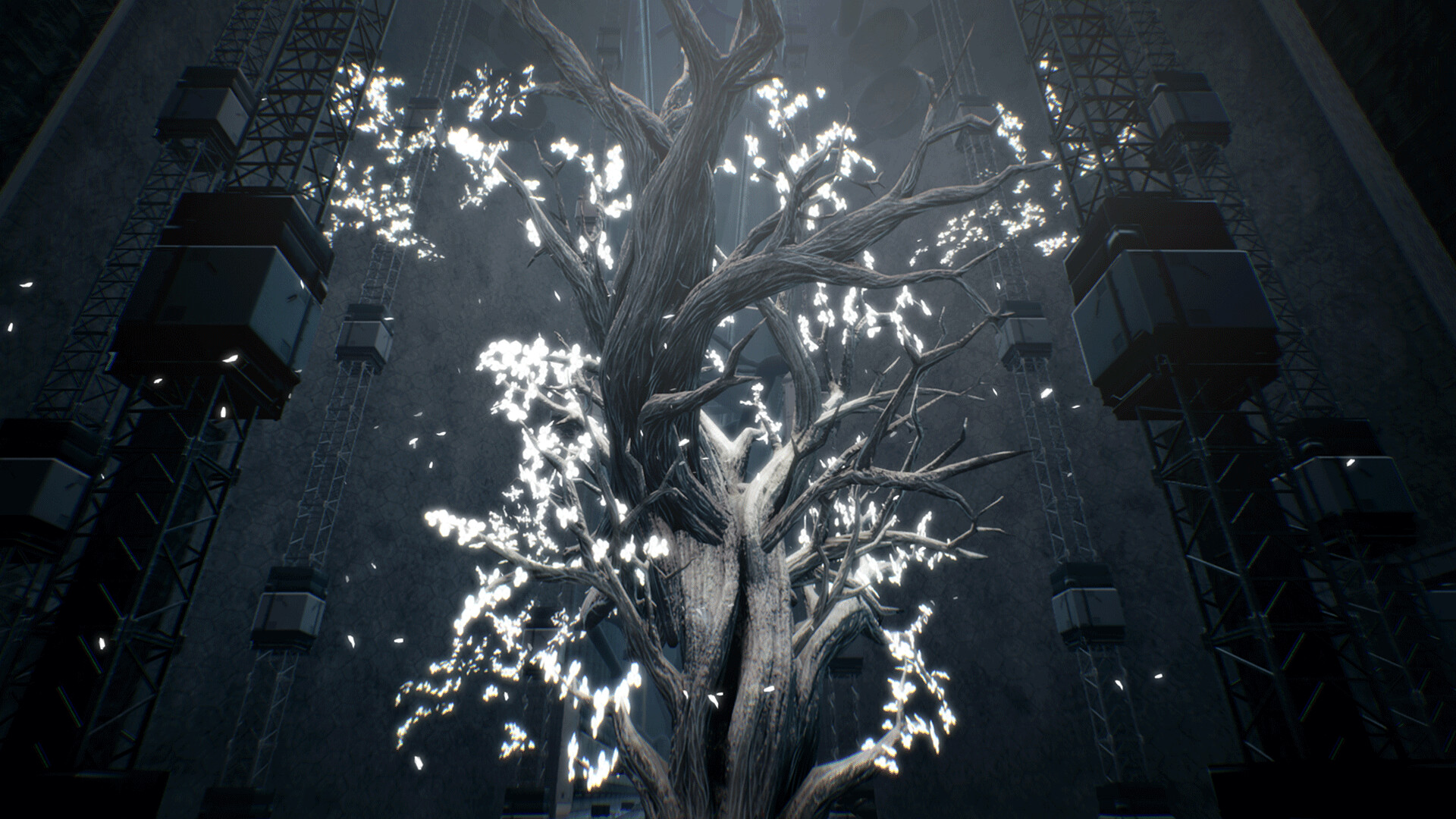 玩偶之巢/Dolls Nest-麦子社区