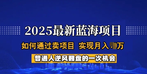 2025蓝海项目，普通人如何通过卖项目，实现月入过W，全过程【揭秘】-客创社 - 专注互联网轻资产创业及网络项目资源整合与分享客创社-免费且强大的项目分享网站！