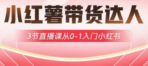 小红薯达人带货启航计划，3节直播课从0-1入门小红书客创社 - 专注互联网轻资产创业及网络项目资源整合与分享客创社 - 专注互联网轻资产创业及网络项目资源整合与分享