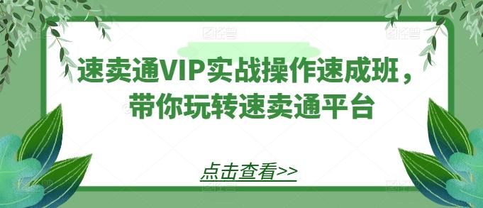 速卖通VIP实战操作速成班，带你玩转速卖通平台客创社 - 专注互联网轻资产创业及网络项目资源整合与分享客创社 - 专注互联网轻资产创业及网络项目资源整合与分享