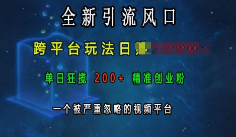 全新引流风口，跨平台玩法日入上k，单日狂揽200+精准创业粉，一个被严重忽略的视频平台客创社 - 专注互联网轻资产创业及网络项目资源整合与分享客创社 - 专注互联网轻资产创业及网络项目资源整合与分享
