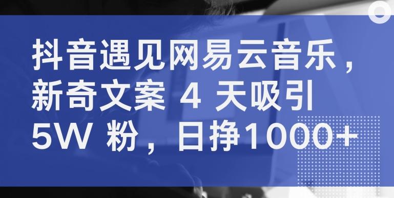 抖音遇见网易云音乐，新奇文案 4 天吸引 5W 粉，日挣1000+【揭秘】客创社 - 专注互联网轻资产创业及网络项目资源整合与分享客创社 - 专注互联网轻资产创业及网络项目资源整合与分享
