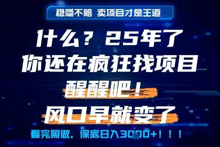 什么？25年你还在疯狂找项目做，醒醒吧，看完这些你全都懂了！【揭秘】-客创社 - 专注互联网轻资产创业及网络项目资源整合与分享客创社-免费且强大的项目分享网站！