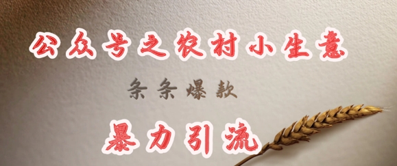 deepseek写农村小项目，条条爆款，暴力引流客创社 - 专注互联网轻资产创业及网络项目资源整合与分享客创社 - 专注互联网轻资产创业及网络项目资源整合与分享