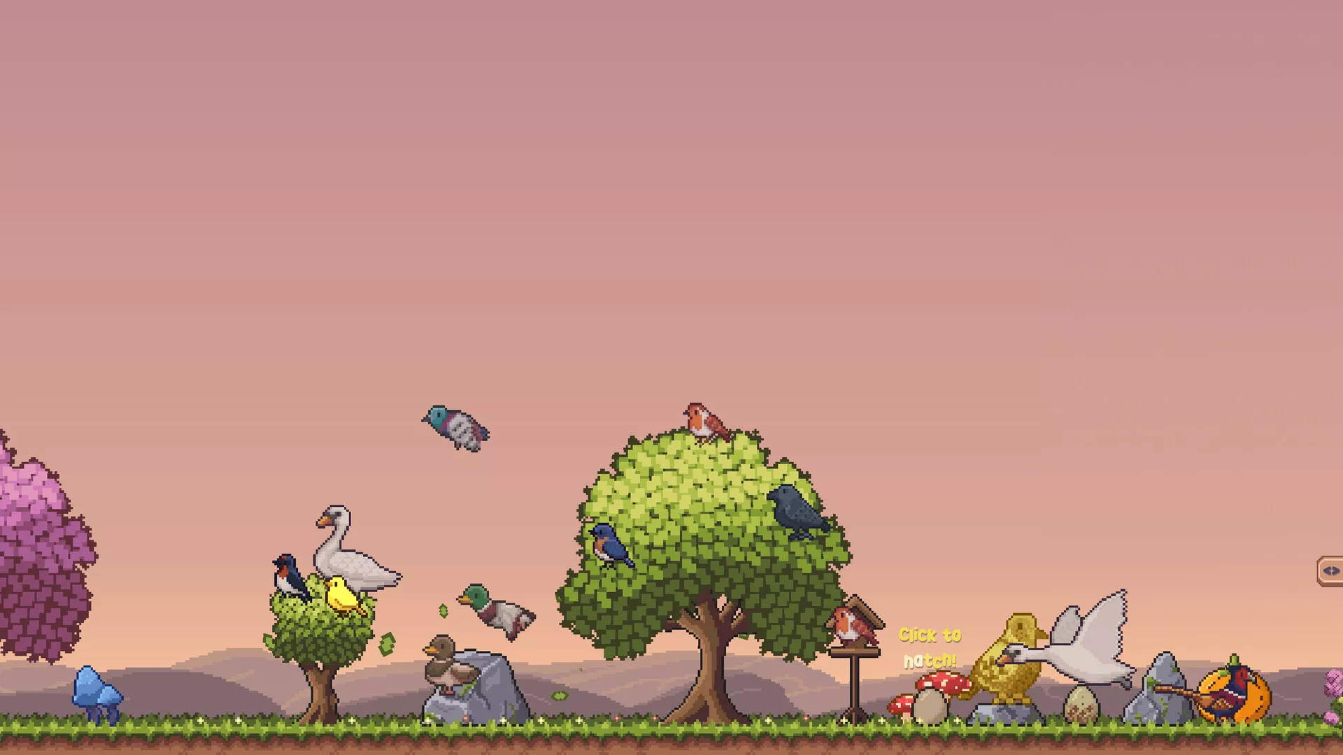 桌面鸟舍：小小鸟陪你摸大鱼/Little Aviary 版本更新客创社区-专注互联网轻资产资源整合与分享客创社区-专注互联网轻资产资源整合与分享