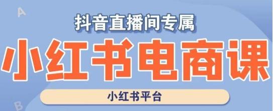 小红书电商高级运营课程，实操教学+案例分析客创社 - 专注互联网轻资产创业及网络项目资源整合与分享客创社 - 专注互联网轻资产创业及网络项目资源整合与分享