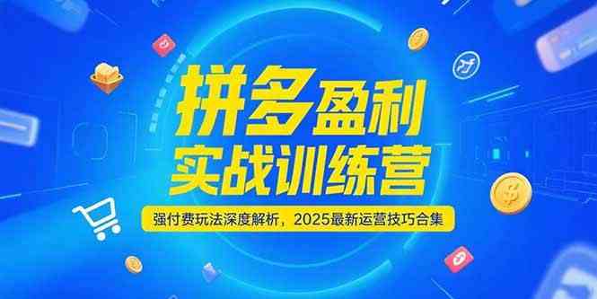 拼多多盈利实战训练营，强付费玩法深度解析，2025最新运营技巧合集-客创社 - 专注互联网轻资产创业及网络项目资源整合与分享客创社-免费且强大的项目分享网站！