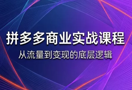 缥缈·2026拼多多课程(更新6月) 《鱼见海科技》-鱼见海资源网-免费PHP网站源码模板,插件软件网创AI智能体资源分享平台！
