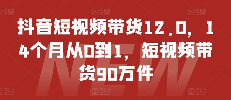 抖音短视频带货12.0，14个月从0到1，短视频带货90万件客创社 - 专注互联网轻资产创业及网络项目资源整合与分享客创社 - 专注互联网轻资产创业及网络项目资源整合与分享