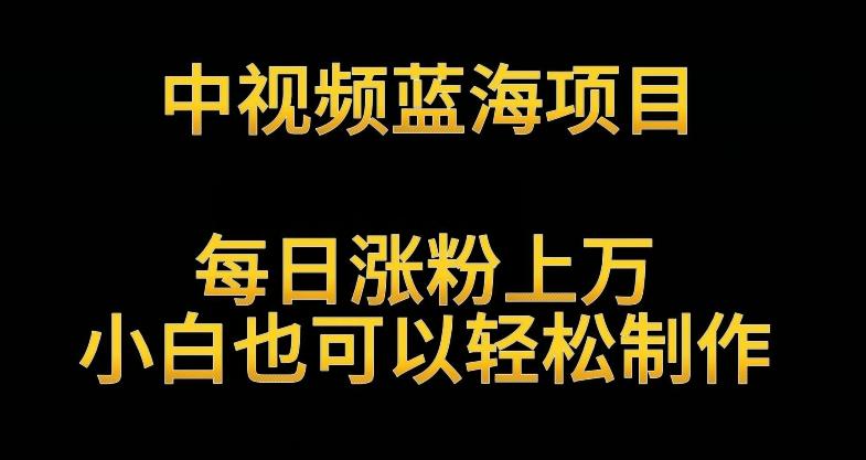 中视频蓝海项目，解读英雄人物生平，每日涨粉上万，小白也可以轻松制作，月入过万不是梦【揭秘】客创社 - 专注互联网轻资产创业及网络项目资源整合与分享客创社 - 专注互联网轻资产创业及网络项目资源整合与分享