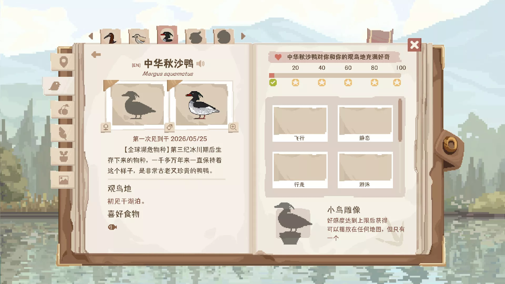 观鸟笔记/Birdwatching Notebook