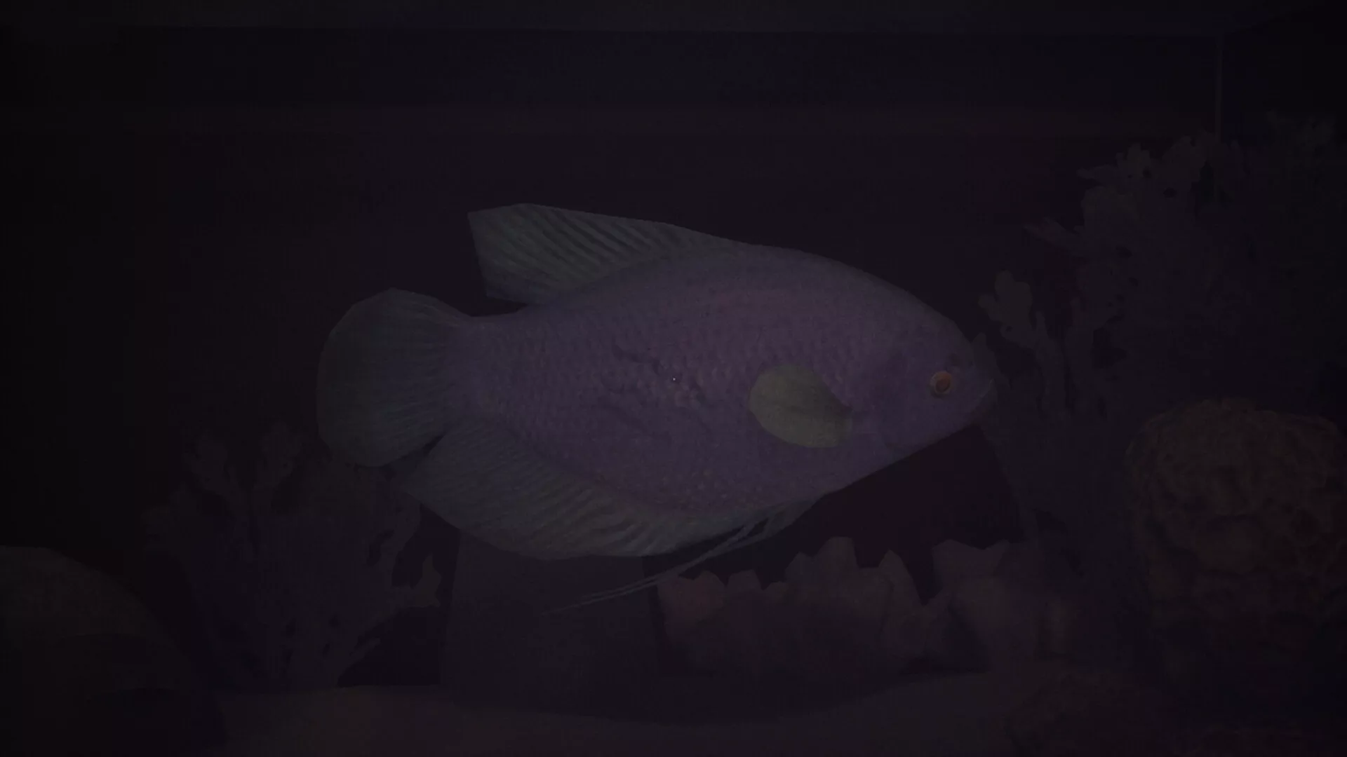 哈鲁:金鱼/Halu – The Fish 新游发布 哈鲁:金鱼/Halu – The Fish 新游发布