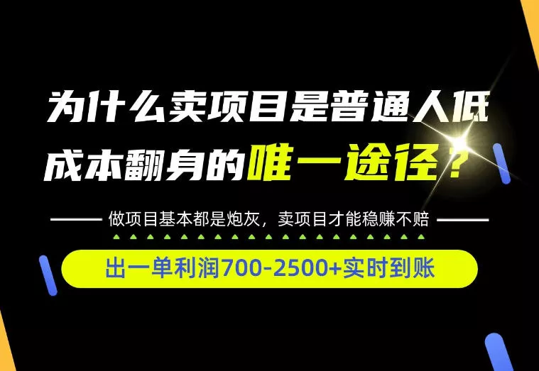 普通人如何靠互联网賺取自己的靠前桶金！全类目实操型教学，看完你全都懂了！【揭秘】 《鱼见海科技》-鱼见海资源网-免费PHP网站源码模板,插件软件网创AI智能体资源分享平台！