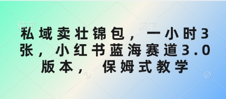 私域卖壮锦包，一小时3张，小红书蓝海赛道3.0版本， 保姆式教学客创社 - 专注互联网轻资产创业及网络项目资源整合与分享客创社 - 专注互联网轻资产创业及网络项目资源整合与分享