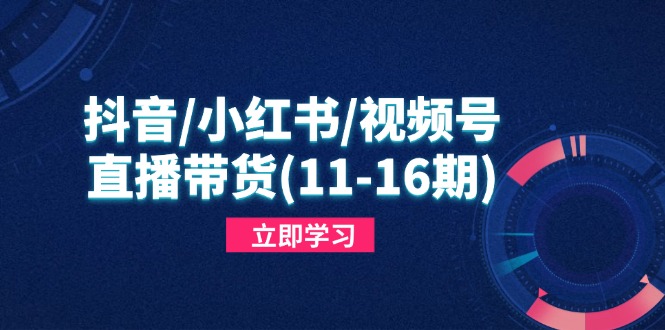 抖音/小红书/视频号/直播带货(11-16期-客创社 - 专注互联网轻资产创业及网络项目资源整合与分享客创社-免费且强大的项目分享网站！