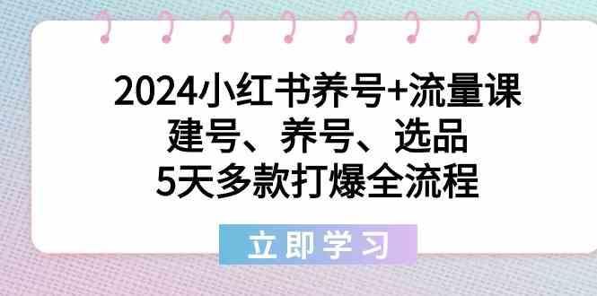2024小红书养号+流量课：建号、养号、选品，5天多款打爆全流程客创社 - 专注互联网轻资产创业及网络项目资源整合与分享客创社 - 专注互联网轻资产创业及网络项目资源整合与分享
