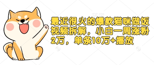 最近很火的爆款猫咪做饭视频拆解，小白一周涨粉2万，单条10万+播放(附保姆级教程)客创社 - 专注互联网轻资产创业及网络项目资源整合与分享客创社 - 专注互联网轻资产创业及网络项目资源整合与分享