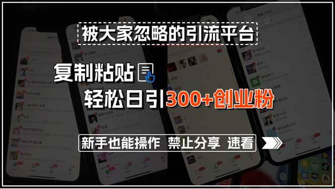 （15428期）被大家忽略的引流平台，复制粘贴轻松日引300+创业粉，新手也能操作，禁…-客创社 - 专注互联网轻资产创业及网络项目资源整合与分享客创社-免费且强大的项目分享网站！