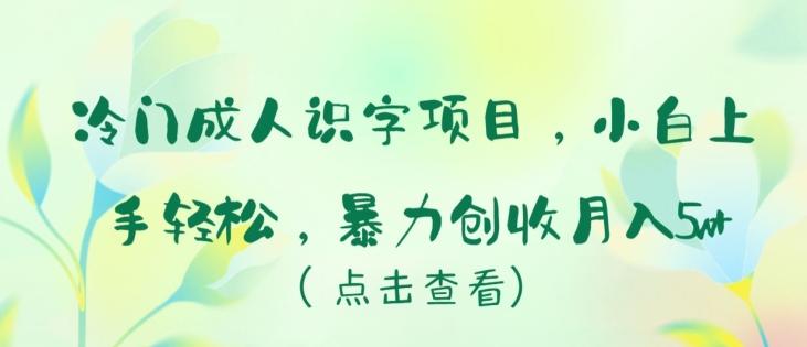 冷门成人识字项目，小白上手轻松，暴力创收月入5w+【揭秘】客创社 - 专注互联网轻资产创业及网络项目资源整合与分享客创社 - 专注互联网轻资产创业及网络项目资源整合与分享