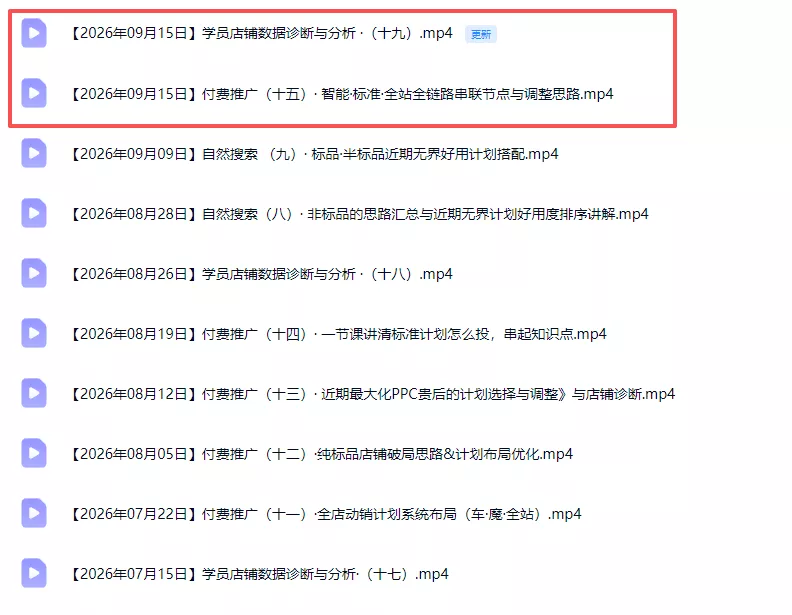 2026淘宝电商终局之战VIP课-更新0920：自然搜索+直通车
