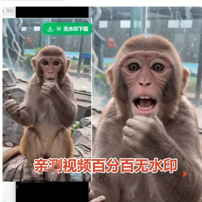 豆包无水印下载终于来了！支持豆包图片/视频，目前少见免费使用的插件，浏览器拓展